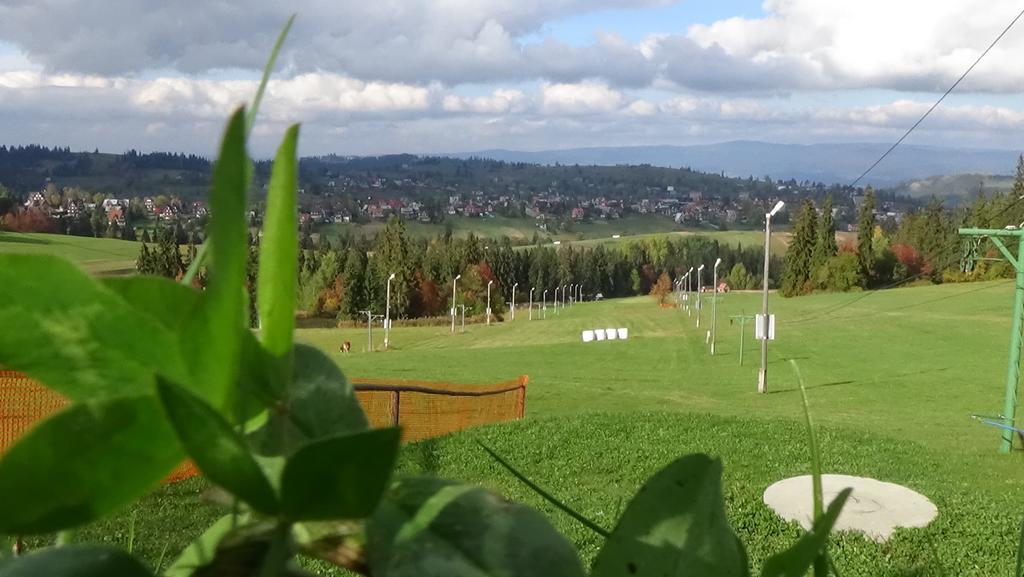 Wanta Appartement Bukowina Tatrzańska Buitenkant foto